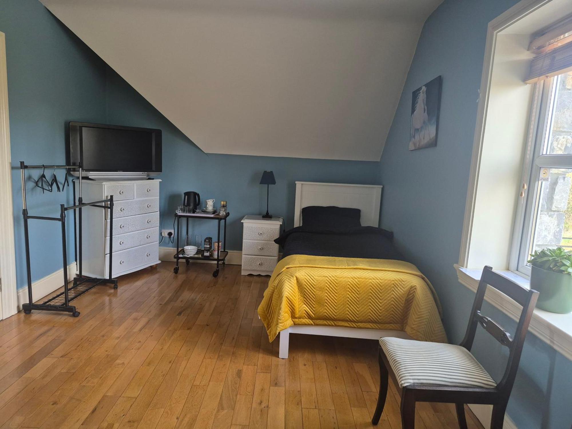 Ballinasloe Guest House In The Heart Of The Country Buitenkant foto